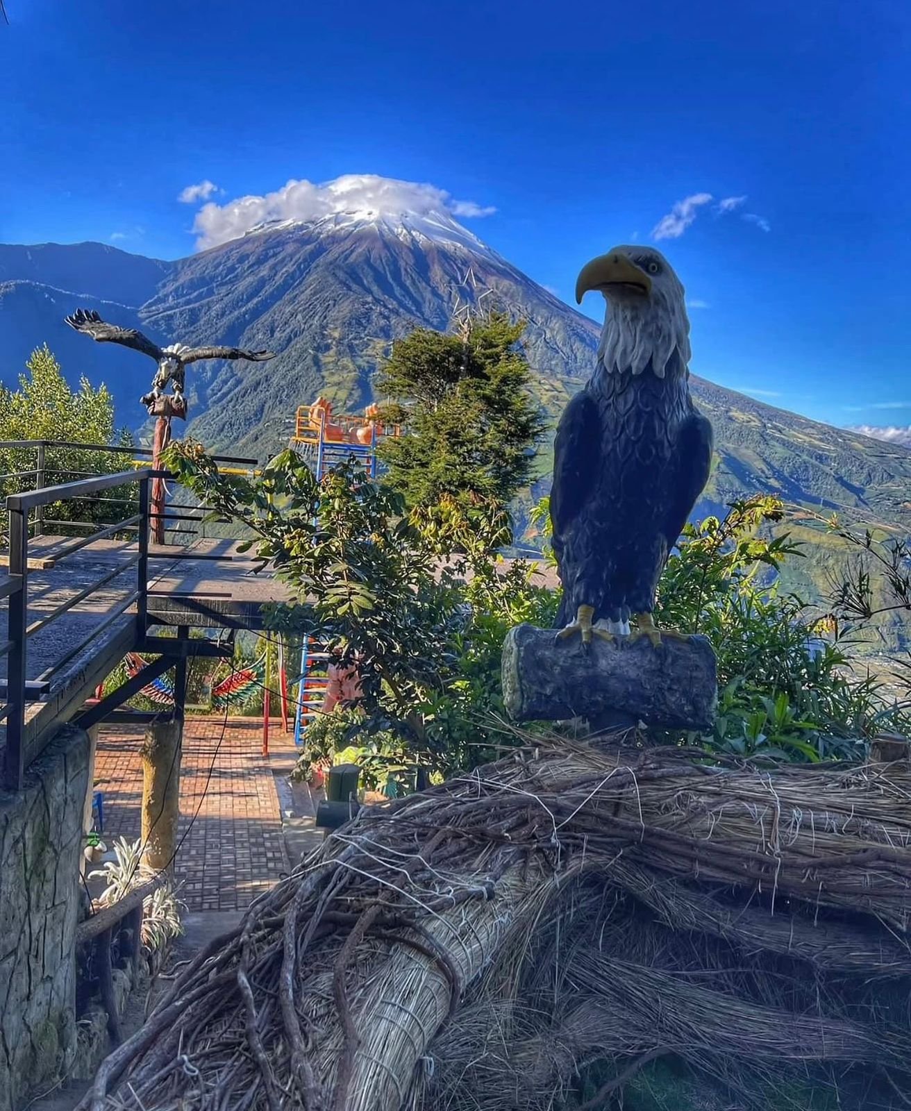 Tour Nocturno Miradores